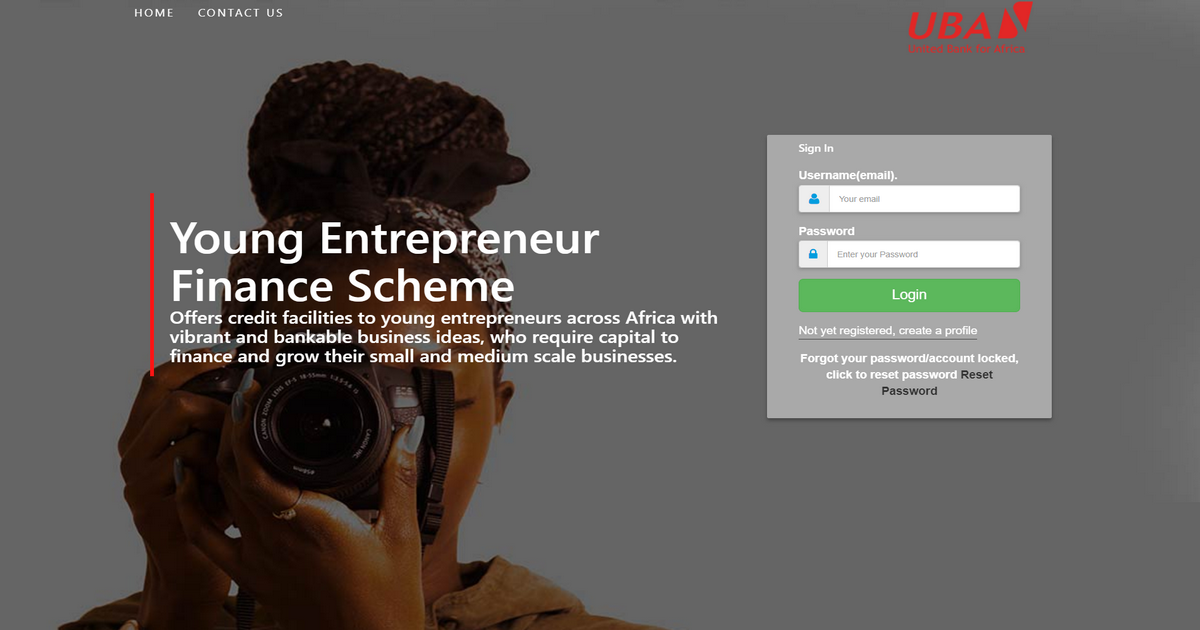 Young Entrepreneurs Finance (YEF) Scheme Credit Workflow